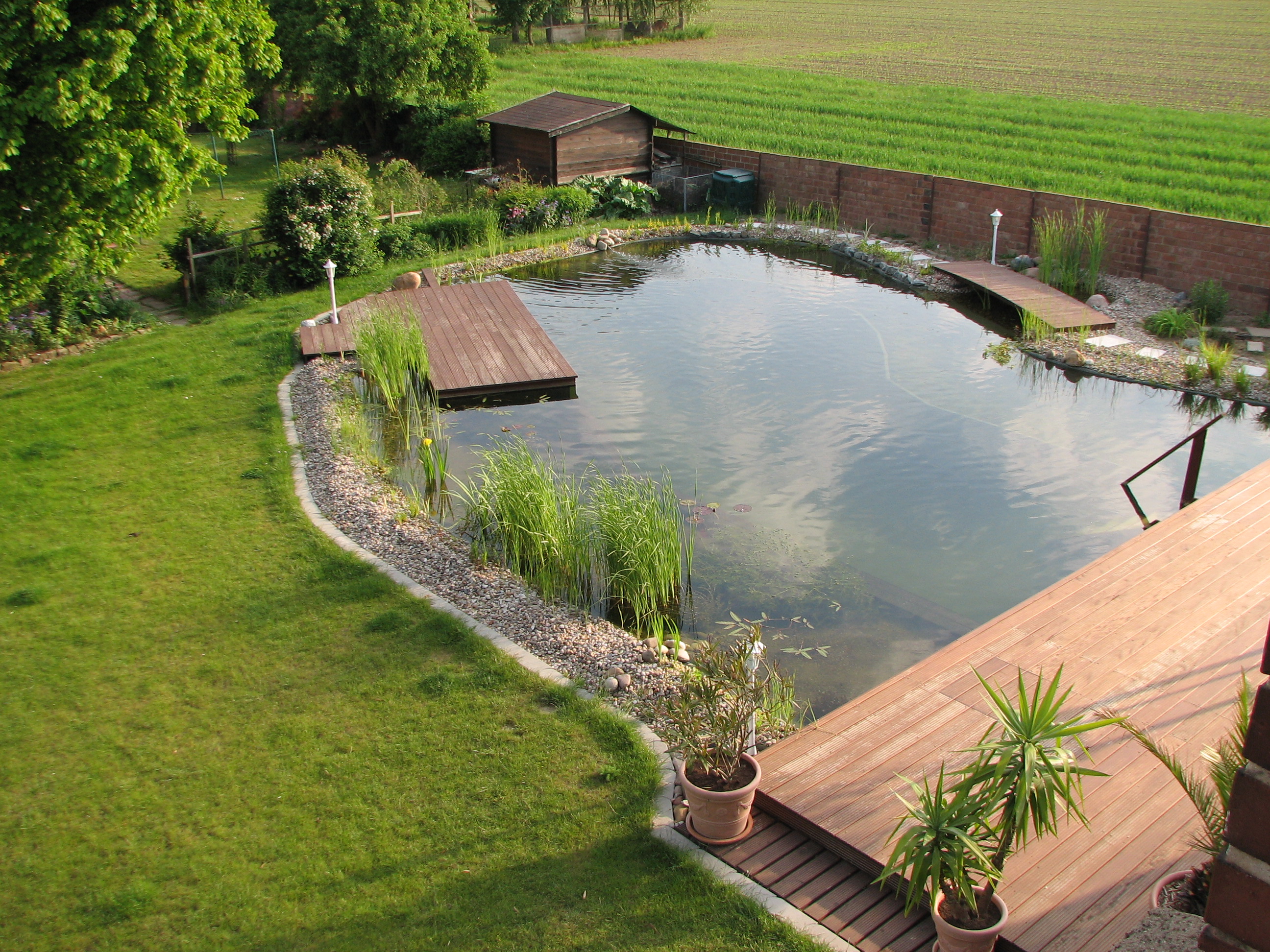 Fotos vom Schwimmteich der Familie Schweda in Hoheneggelsen